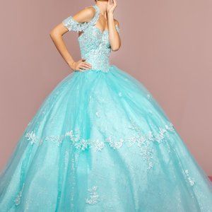 Sweetheart Neck Ballgown Shape Prom Dress GSGL2602